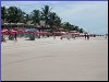 [Click to enlarge]